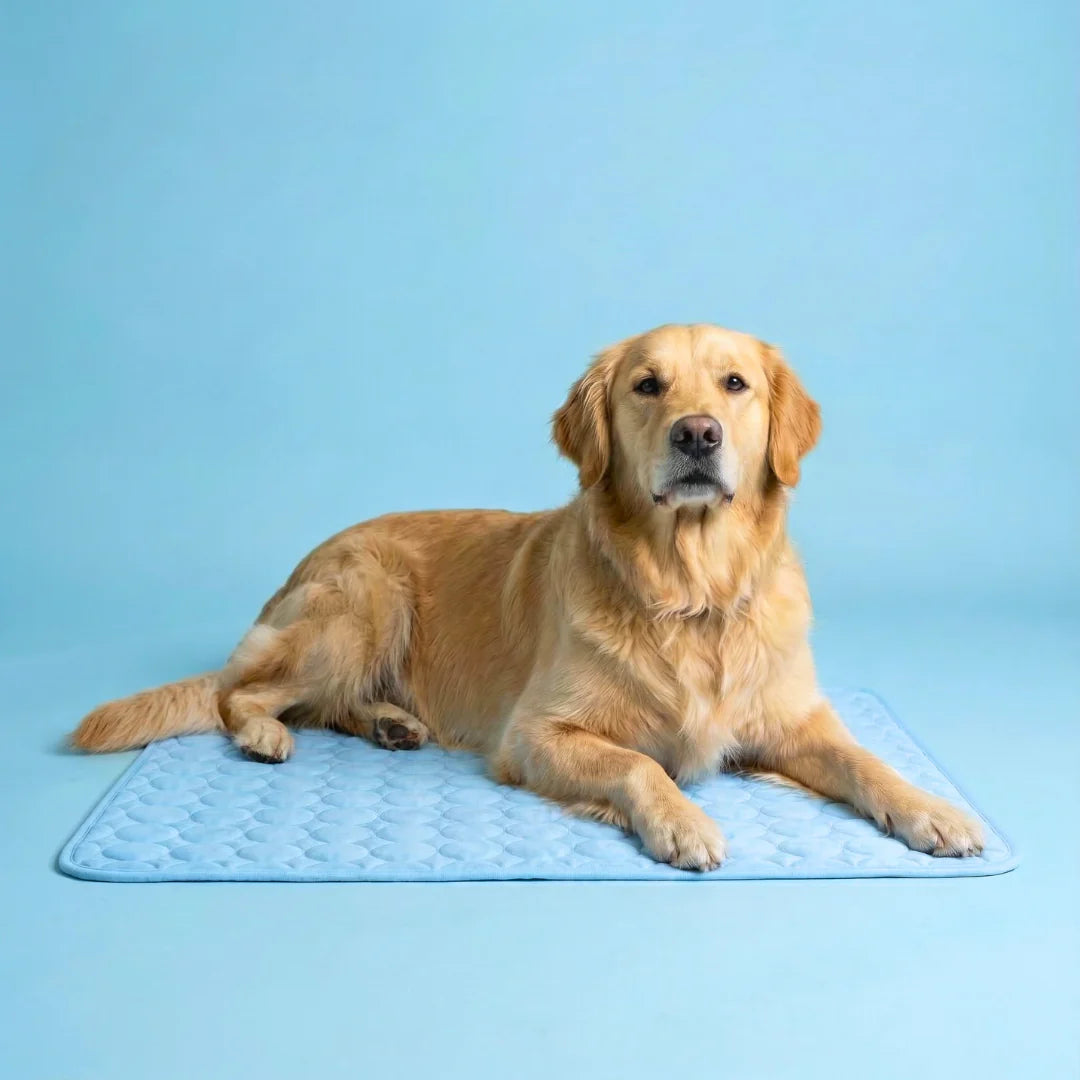 Bluvea™ Cooling Dog Mat