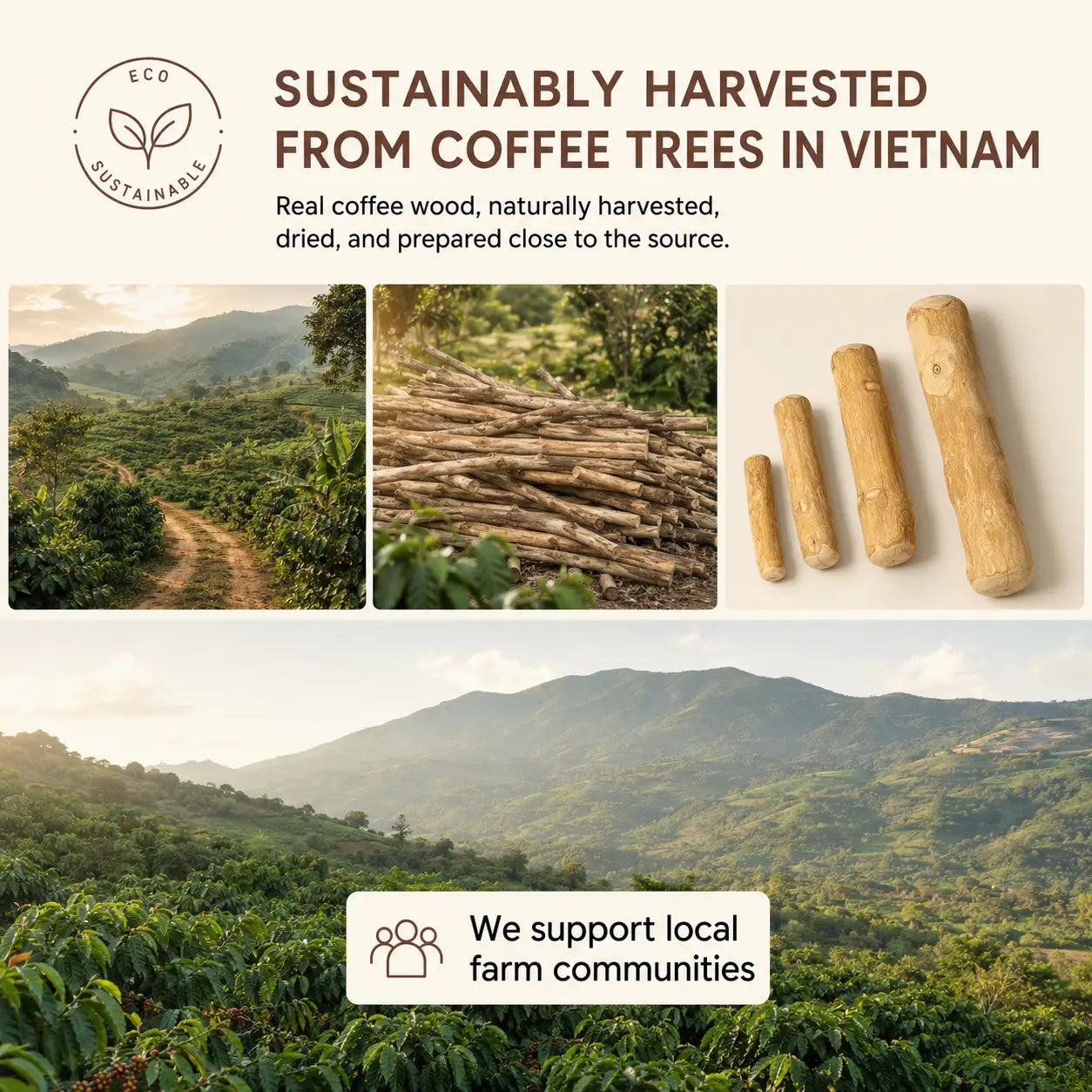 Bluvea Coffee Wood Chew