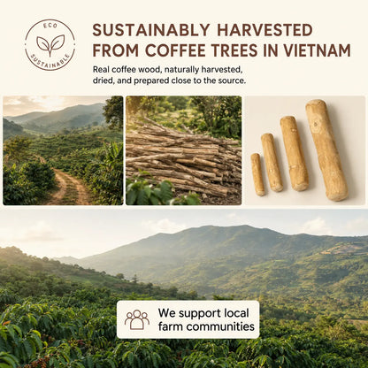 Bluvea Coffee Wood Chew