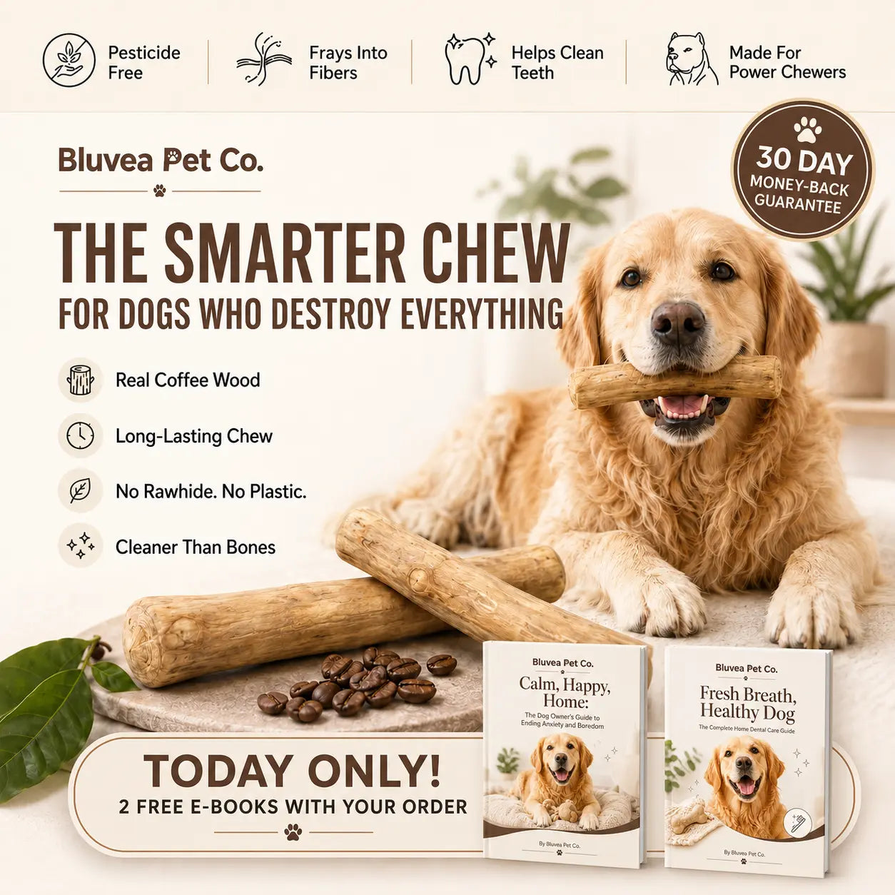 Bluvea Coffee Wood Chew